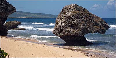 East Coast Beach